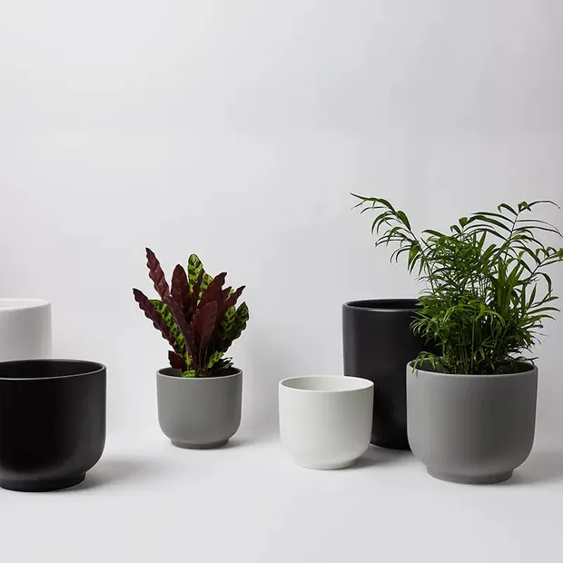 Bell Planter
