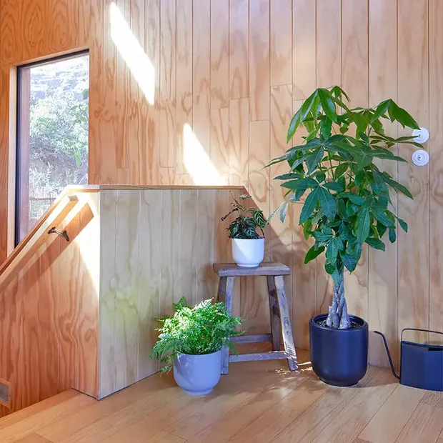 Bell Planter, view 4