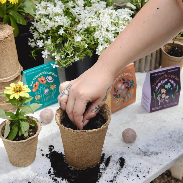 Bespoke Blooms Seed Balls, view 3