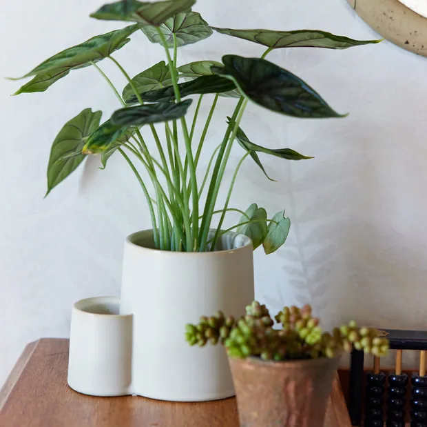 Ember Earth Candle + Planter, view 5