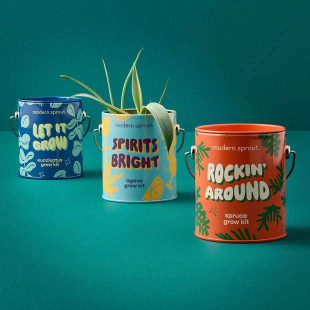 Seasonal Complimentary Colors Grow Kits, view 3