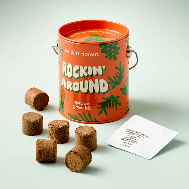 Seasonal Complimentary Colors Grow Kits, view 4