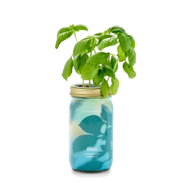 Garden Jars - Organic Herbs, view 4