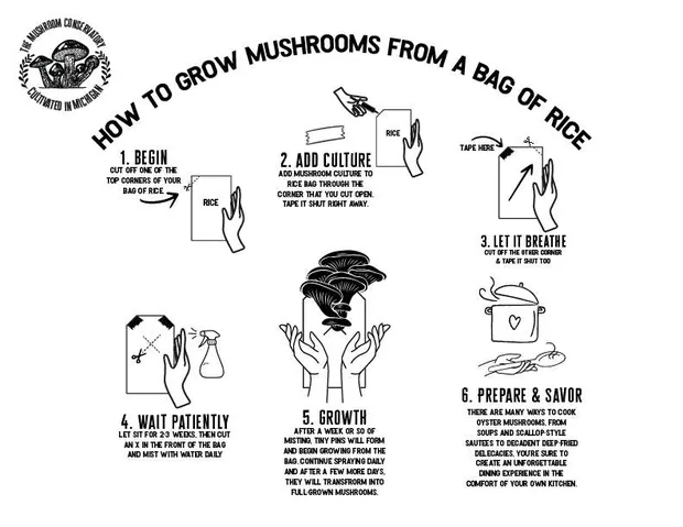 Pink Oyster Mushroom Growing Kit, view 4