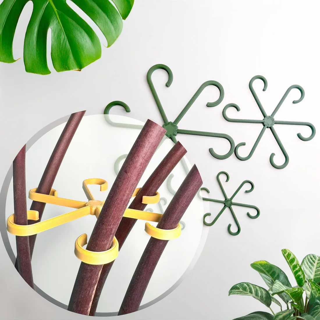 Plant Stem Supports