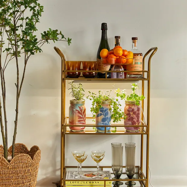 Smart Growbar, view 4