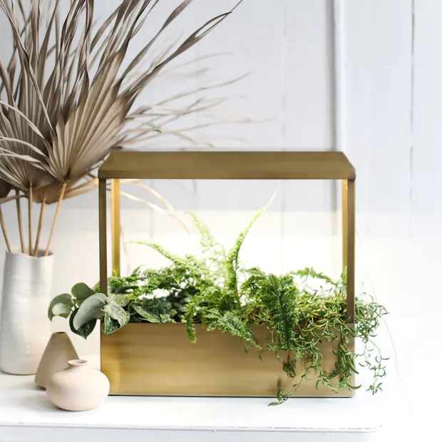 Smart Growhouse, view 4